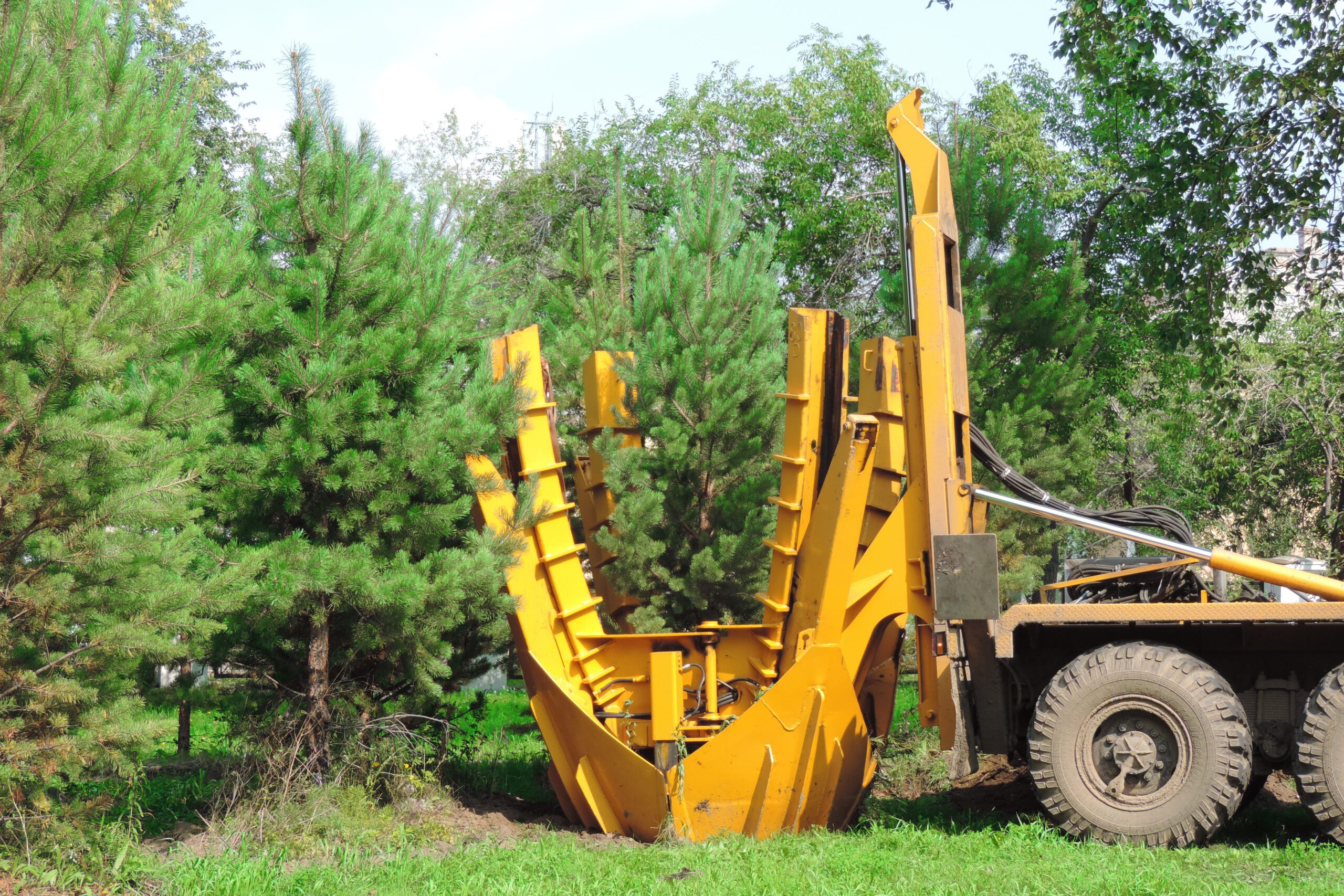 Tree transplanter heavy machine